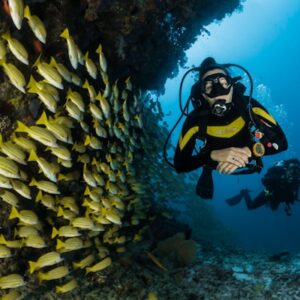 Andaman Bliss 55