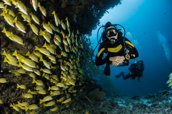 Andaman Bliss 55