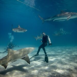 Andaman Bliss 87