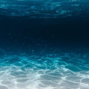 Andaman Bliss 119