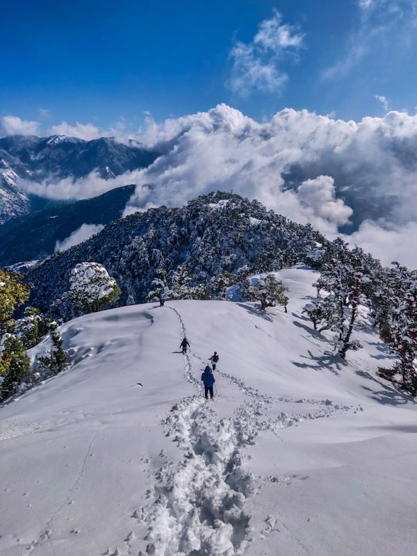 Kashmir Heaven 46